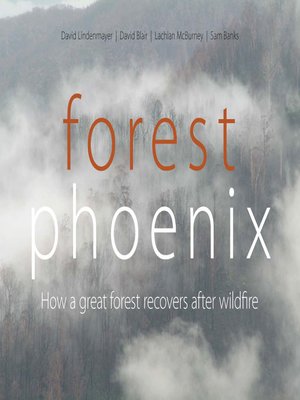 cover image of Forest Phoenix